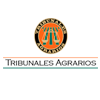 Client Name
